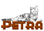 petra Katze_ggs8.gif