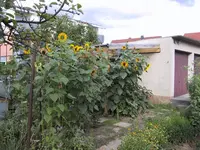 Bild 026.webp