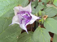 DSC03849.webp