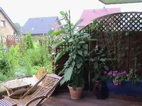 20.07.webp