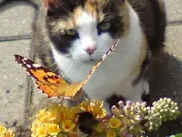 DSC07481.webp