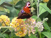 DSC07457.webp
