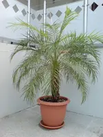 DSC01831.webp