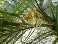 DSC01832.webp
