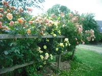 DSCF0329.webp
