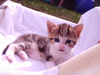 Lucy 16.07.09.webp