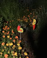 Schneckenschreck.webp