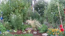 garten 09 020.webp