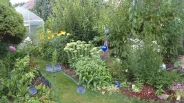garten 09 021.webp