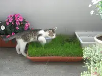 DSCN1937.webp