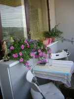 DSCN2090.webp