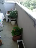 DSCN2091.webp