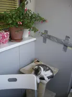 DSCN2092.webp