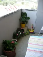 DSCN2093.webp