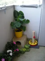 DSCN2094.webp