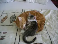 DSCN1917.webp