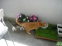 DSCN1933.webp