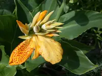 DSCN7494.webp