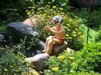 taucher 008.webp