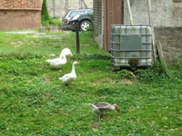 IMG_2205.webp