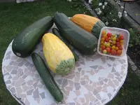 garten 09 016.webp