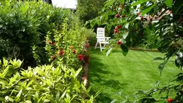 K800_Gemischtes 1058.webp