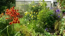 K800_Gemischtes 1060.webp