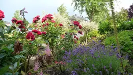 K800_Gemischtes 1062.webp