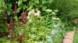K800_Gemischtes 1172.webp