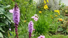 K800_Gemischtes 1180.webp