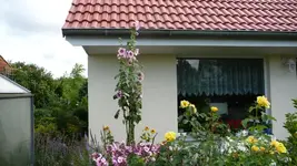 K800_Gemischtes 1178.webp