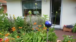 K800_Gemischtes 1182.webp
