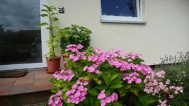 K800_Gemischtes 1197.webp