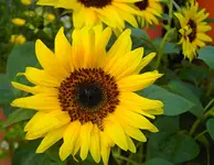 PICT4989.webp