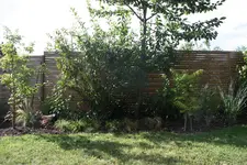 IMG_0855  1.webp
