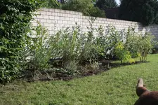 IMG_0857  1.webp
