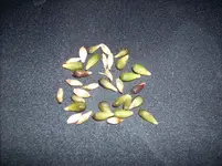 DSCN0396.webp