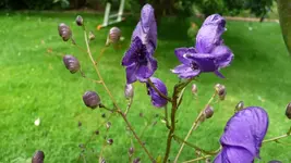 K800_Gemischtes 1189.webp