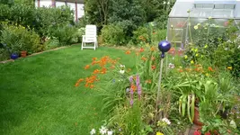 K800_Gemischtes 1190.webp