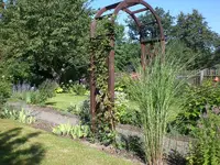 Garten Juli11 002.webp