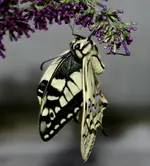 ab 23 102.webp