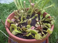 IMGP5138.webp