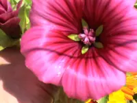 DSC04038.webp