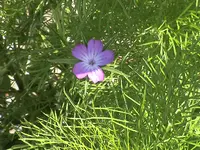 DSC04042.webp