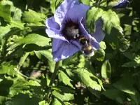 DSC04057.webp