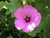 DSC04034.webp