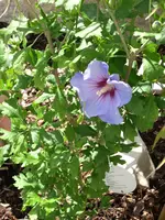 Bild 008.webp