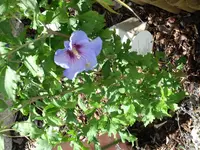 Bild 009.webp