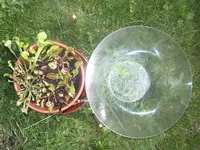 IMGP5140.webp