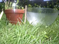 IMGP5141.webp